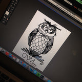 Draw an owl