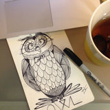 Draw an owl