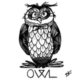Draw an owl
